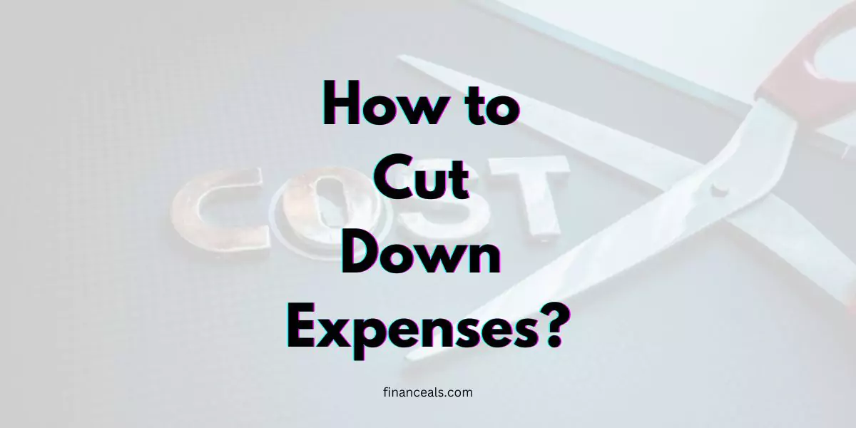 How to Cut Down Expenses?